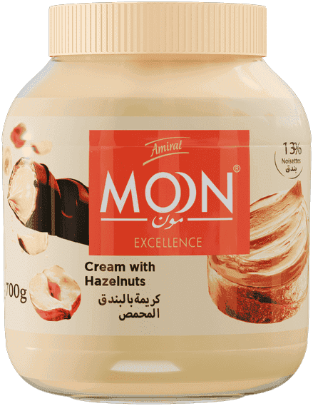Pate a tartiner 13% noisette 700g moon